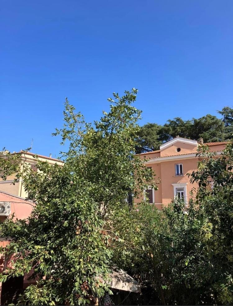 Casa Di Vivi, Comoda Per Il Centro, Il Vaticano Ed Il Gemelli Rome Buitenkant foto
